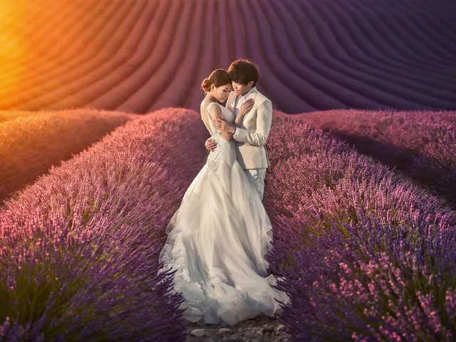 Wedding & Pre-Wedding